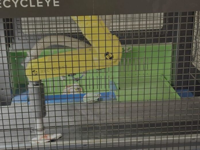 italos kartondobozok