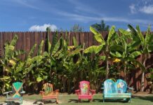 Politikai vákuum és hulladékhegyek: A hurrikánok utáni romeltakarítás anomáliái Jamaicán jamaica