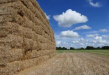 Visszatér a „Nagy Bálazsinór-visszagyűjtés” bálazsinór