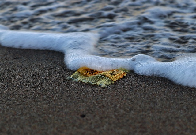 plastic-8071711_640 világbank