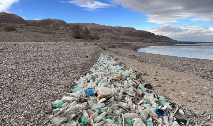 plastic-ring-scaled műanyag