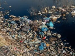 270 millió tonna felhalmozott hulladék és a metán, amit senki nem mér: mit mond India hulladékszektoráról az IGSD legfrissebb elemzése india hulladékgazdálkodás; India waste management