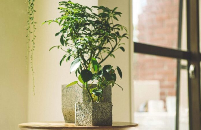 Circular Design Cement;