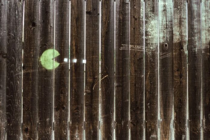 bioműanyagokat lebontó baktériumok; bioplastic degrading bacteria