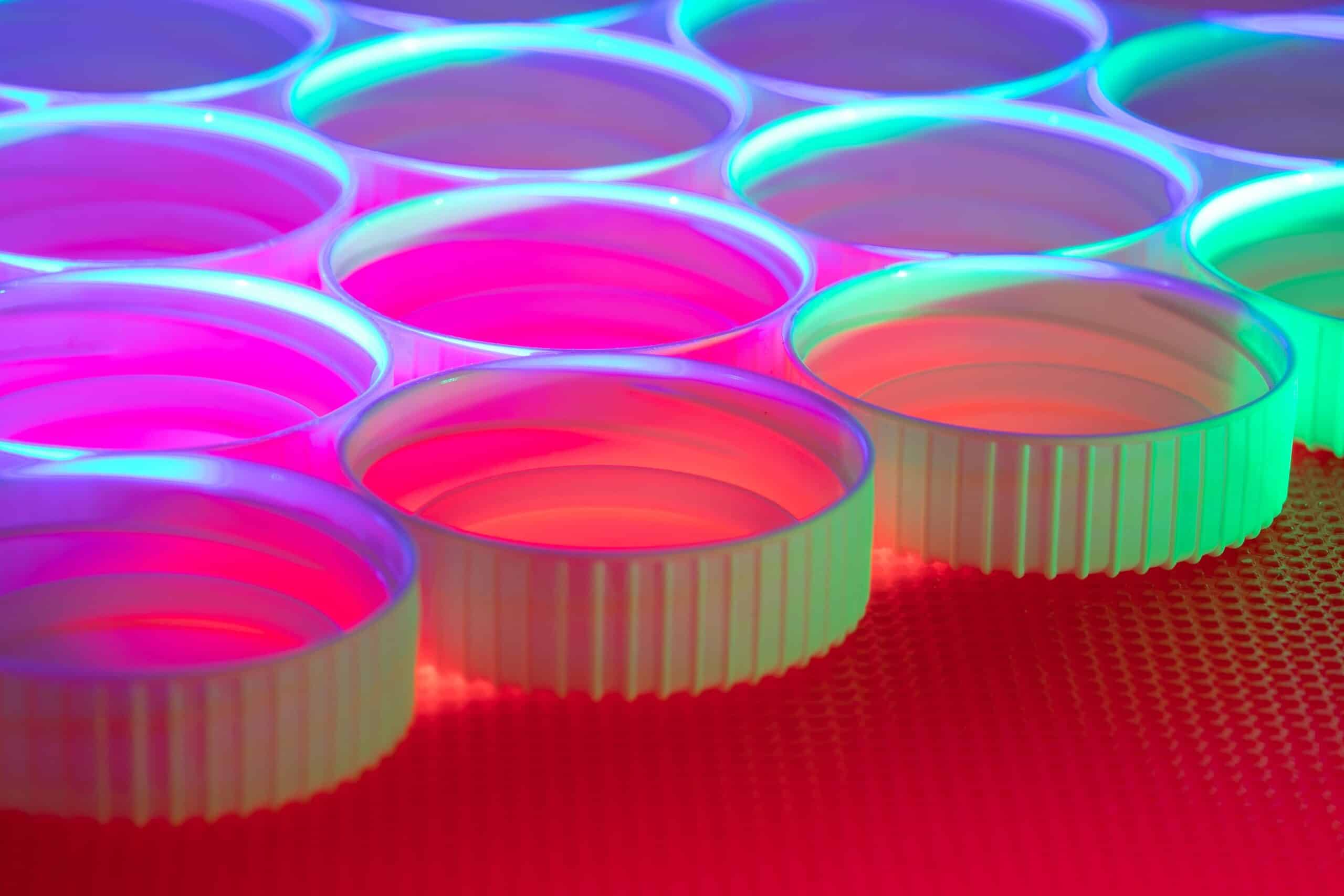 plastic kupak RCS Group műanyaghulladék-feldolgozó beruházás; RCS Group plastic waste processing investment